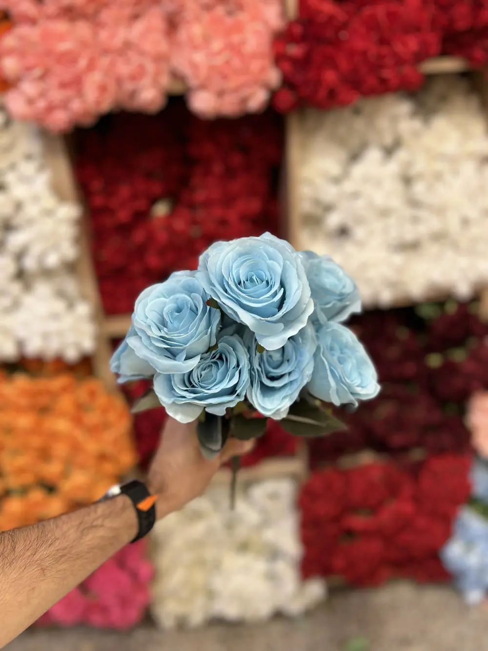 جوري ٩ وردة سمائي
