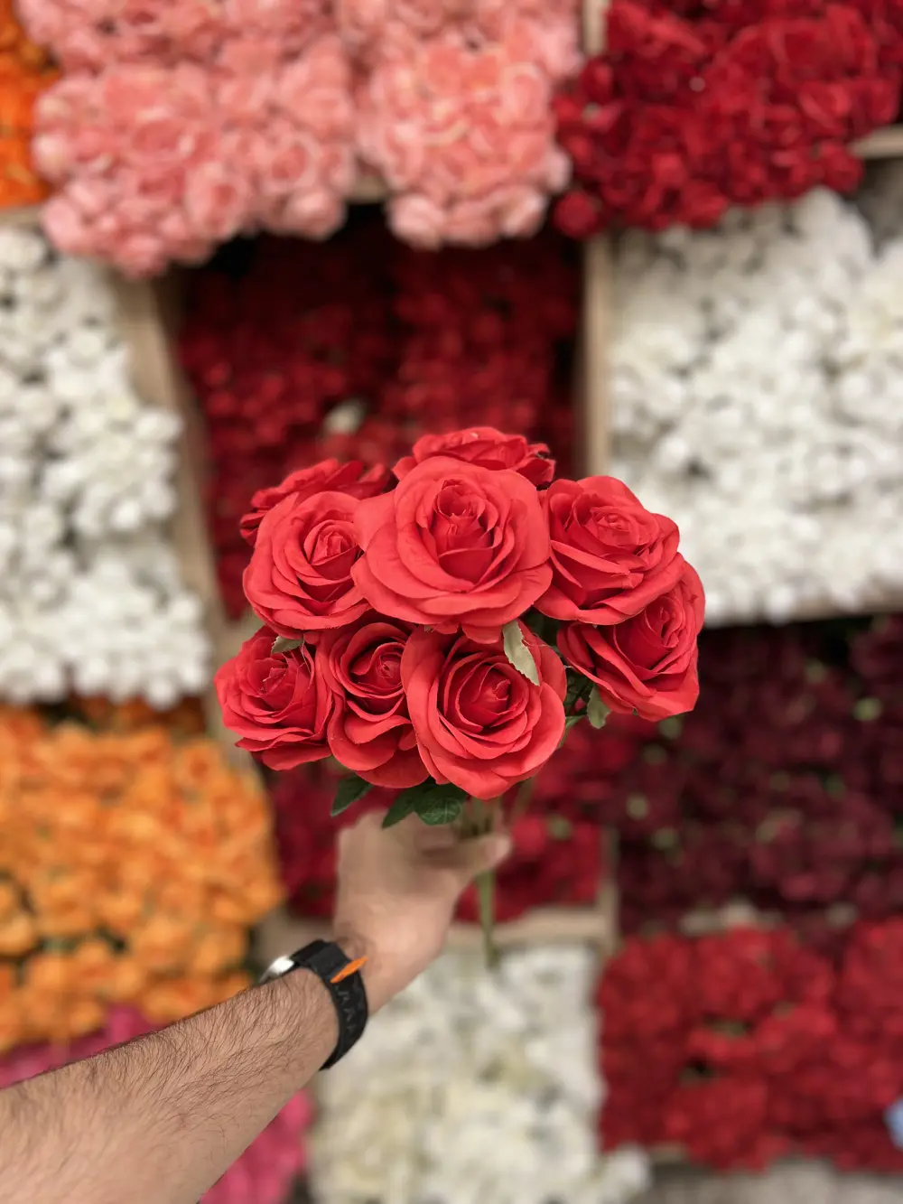 جوري ١١ وردة / احمر