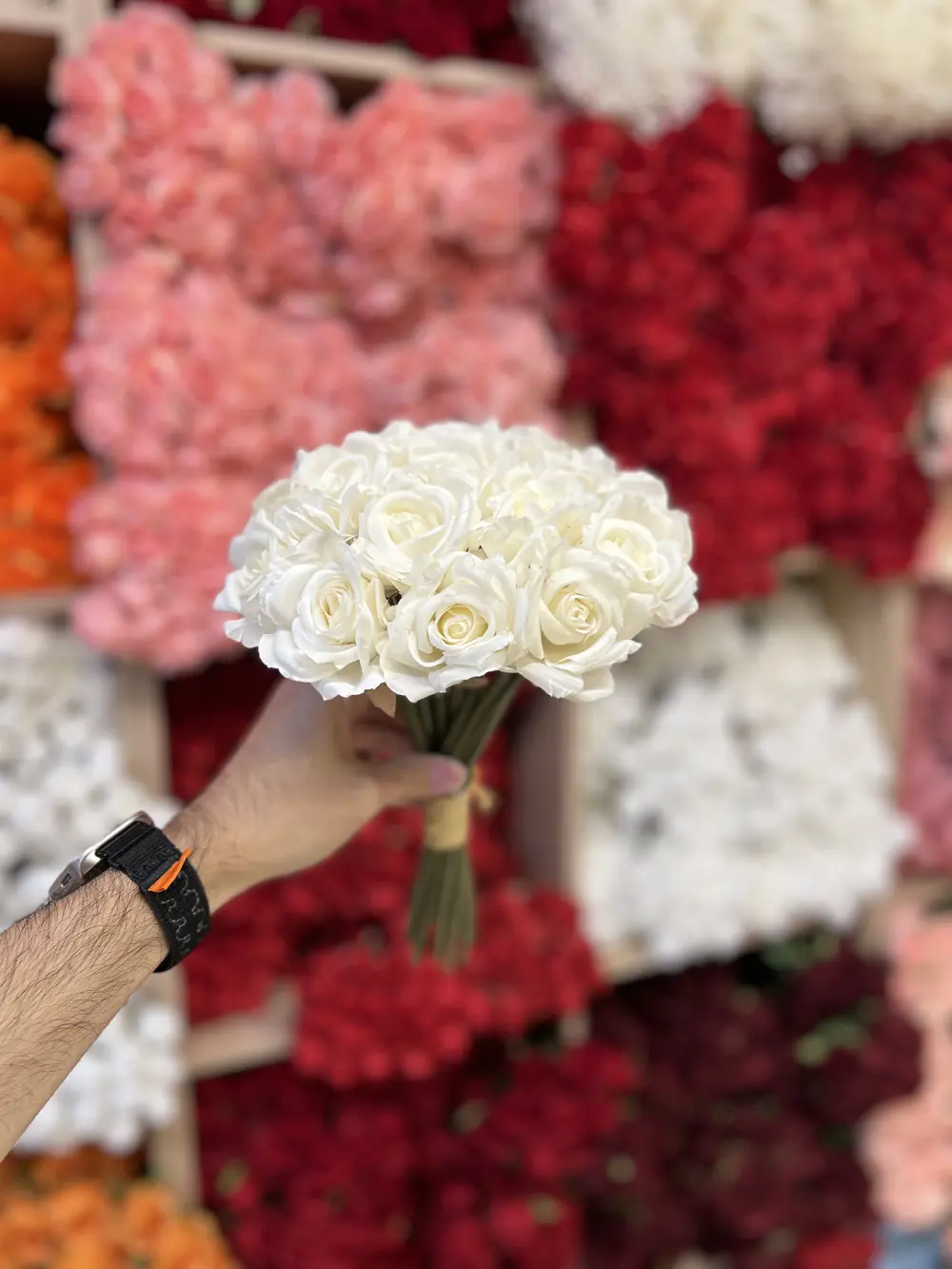 جوري ١٨ وردة 