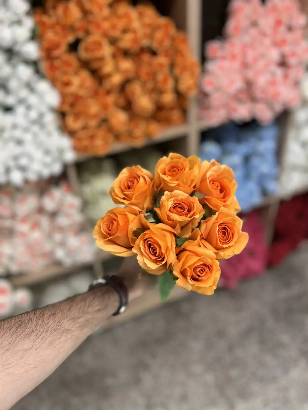 ورد صونده 