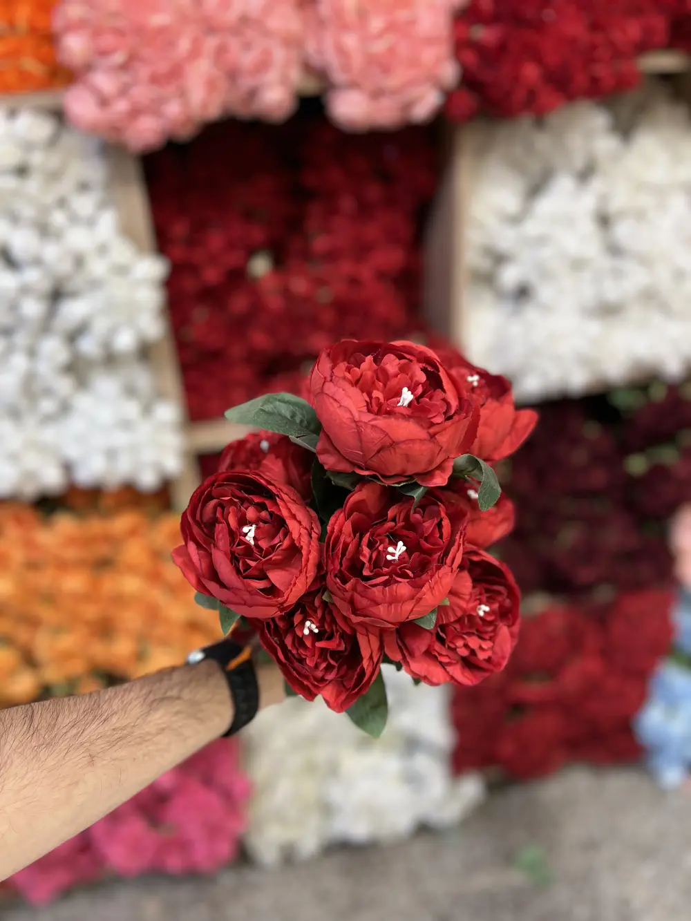 بيوني كبير 9 وردة احمر