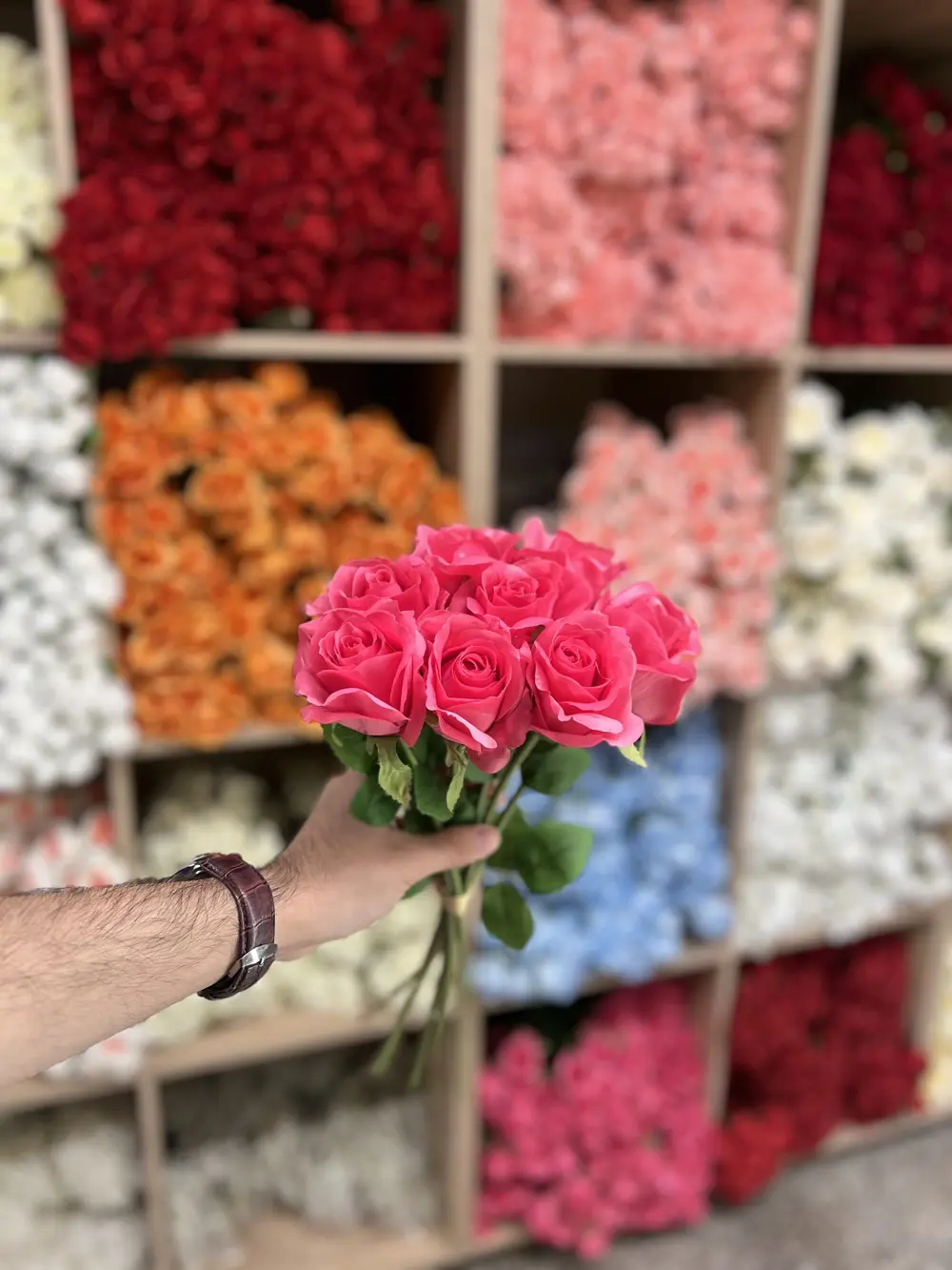 فوشي