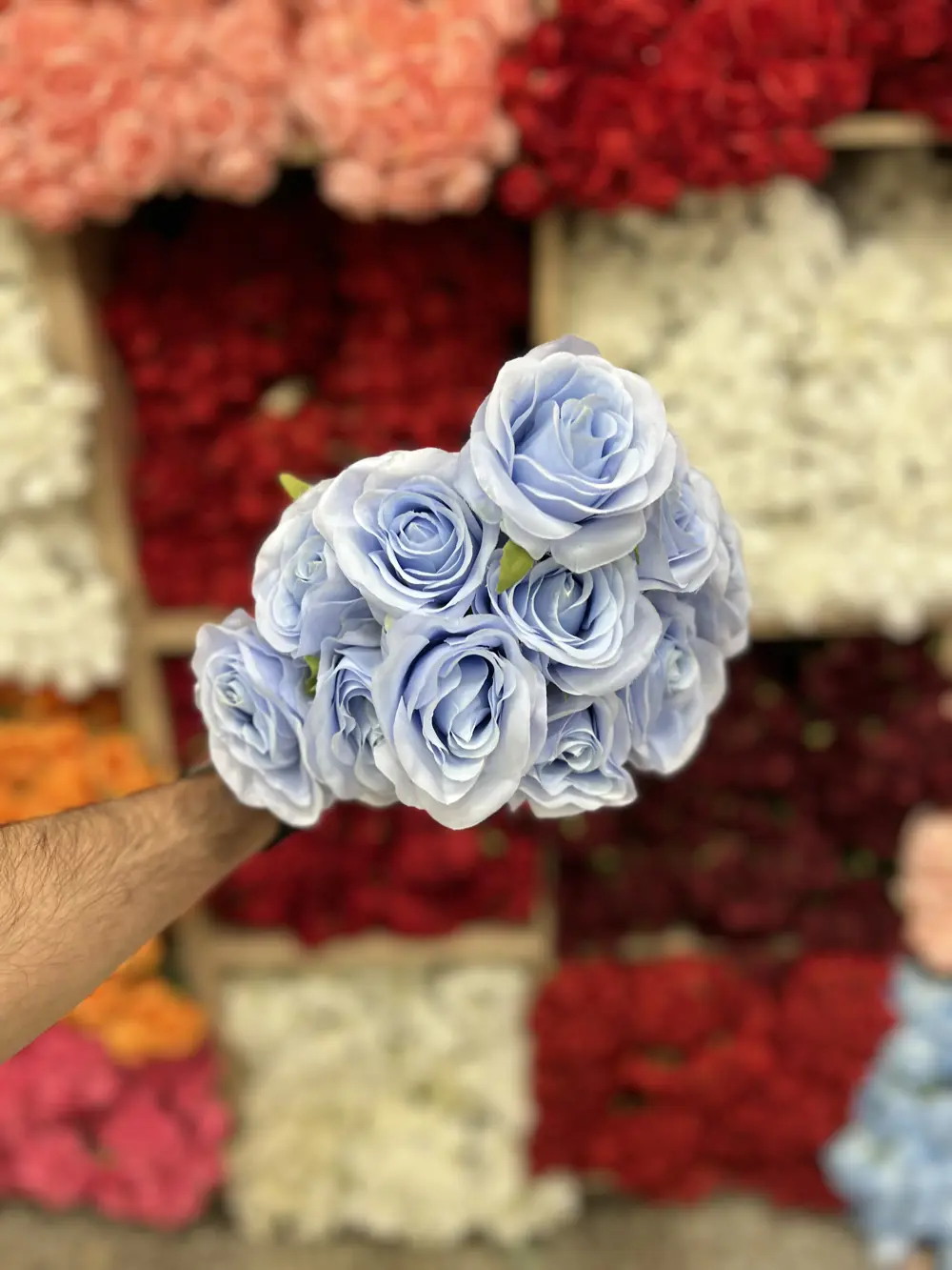 جوري ١١ وردة / سمائي