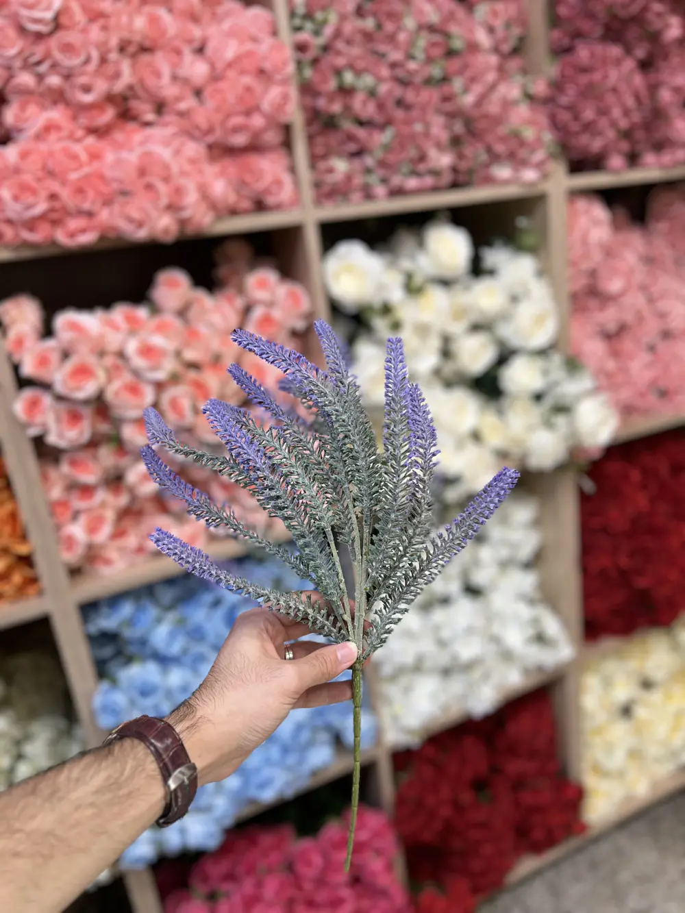 اكسسوارات 