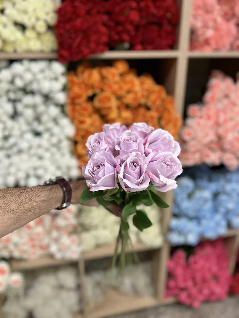 بنفسجي فاتح