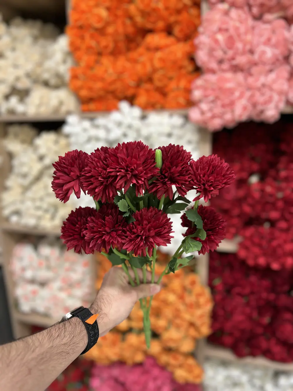 قرنفل احمر