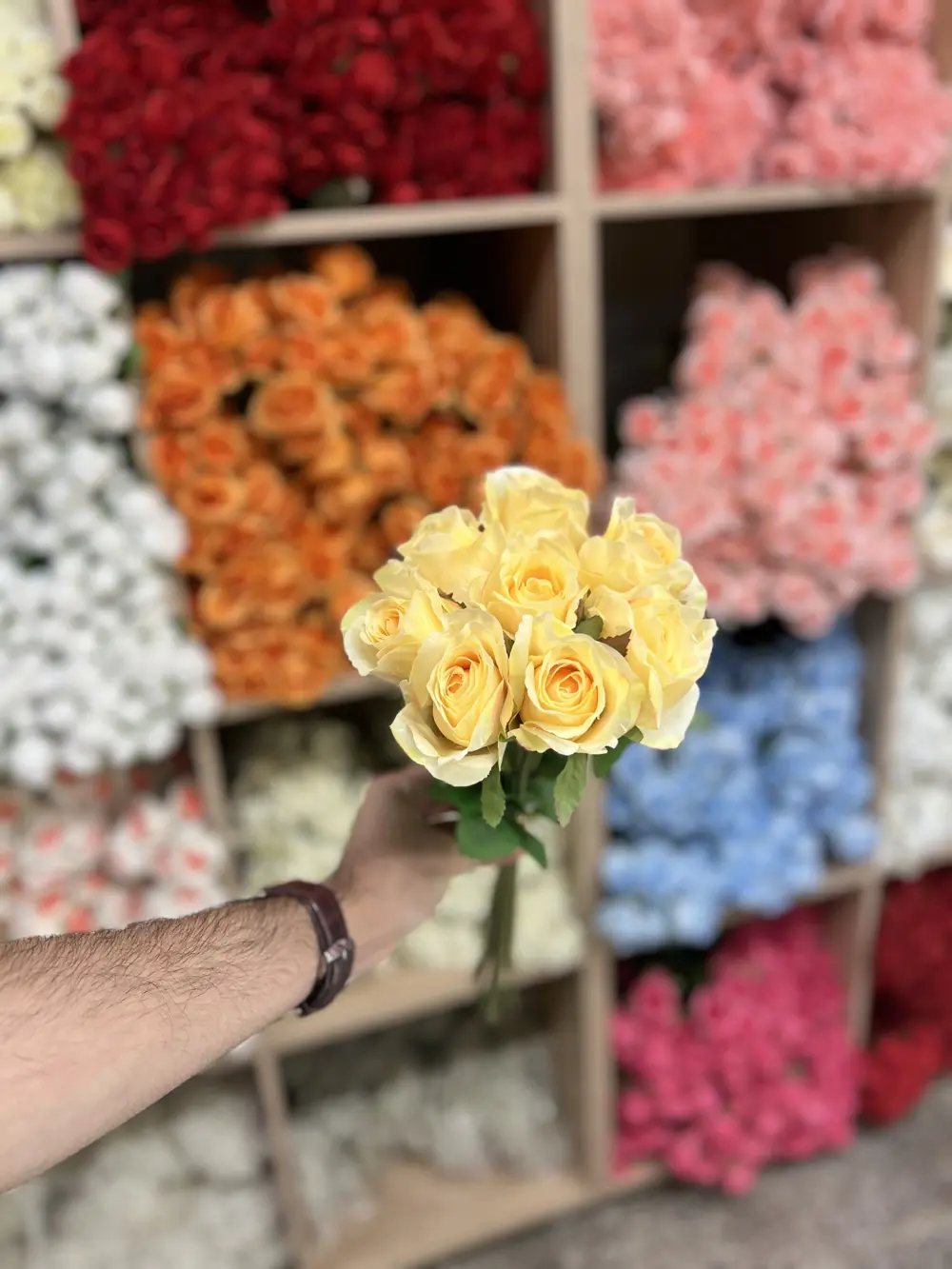 بصلي فاتح
