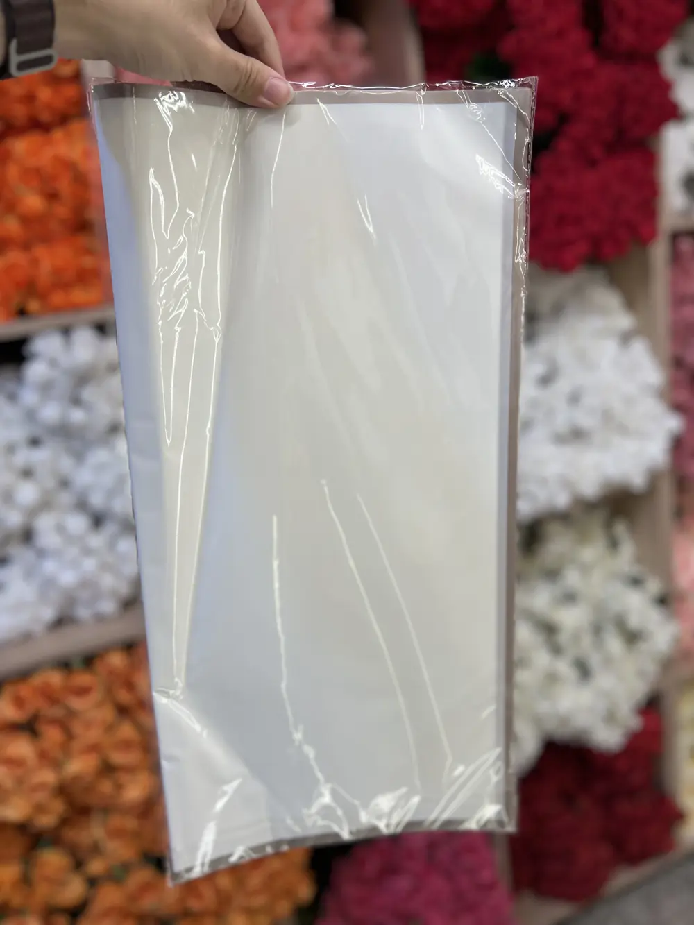 ابيض