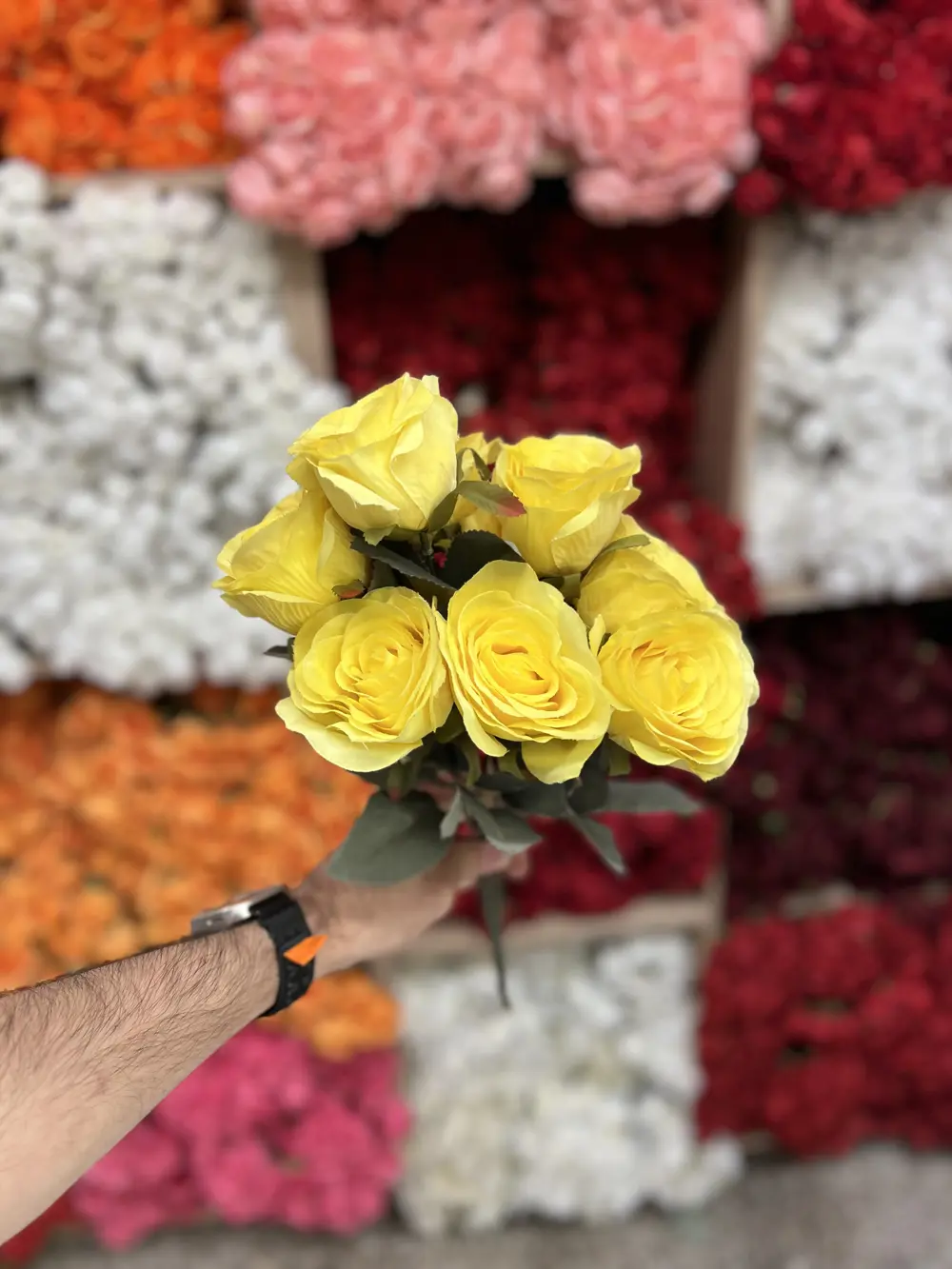 جوري ٩ وردة اصفر 