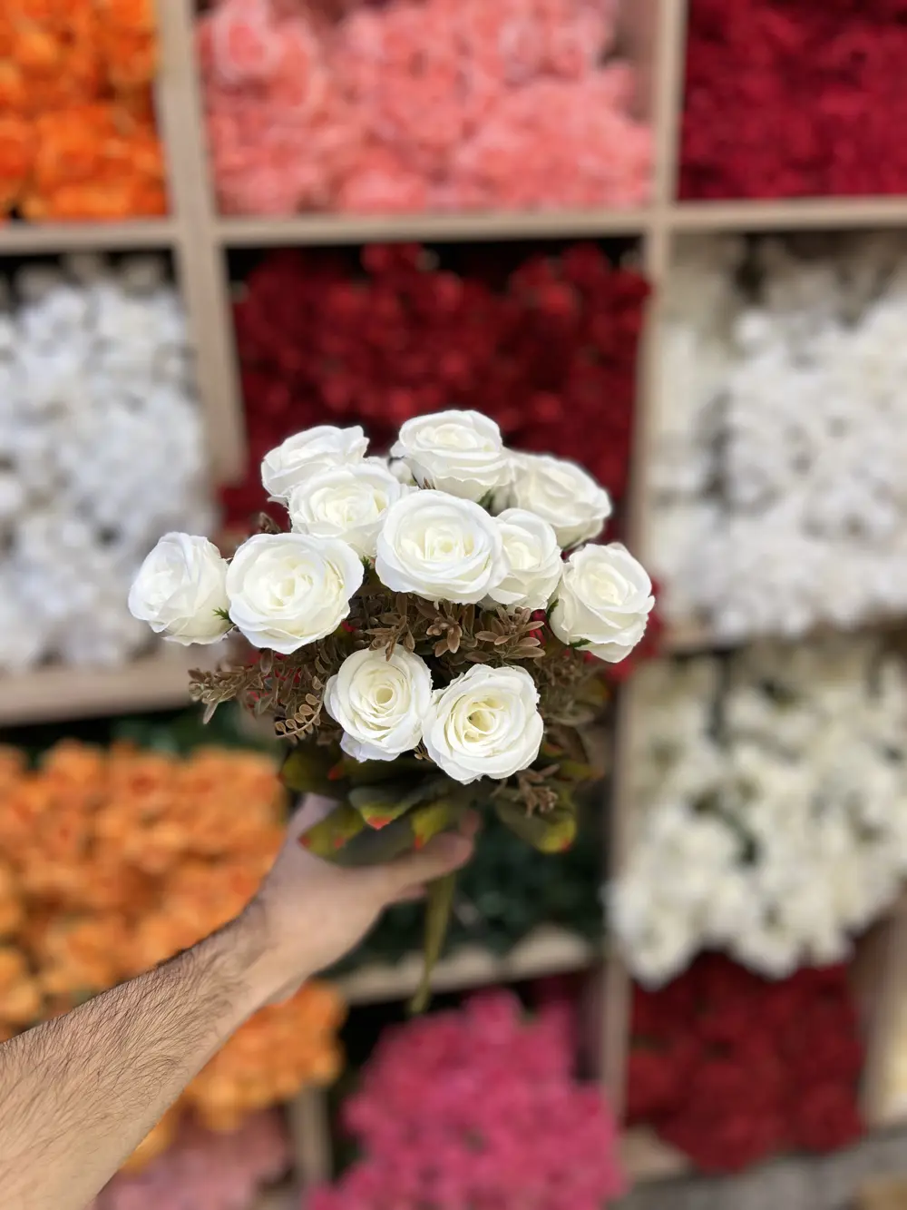 بيبي كاردن ١٨ وردة 