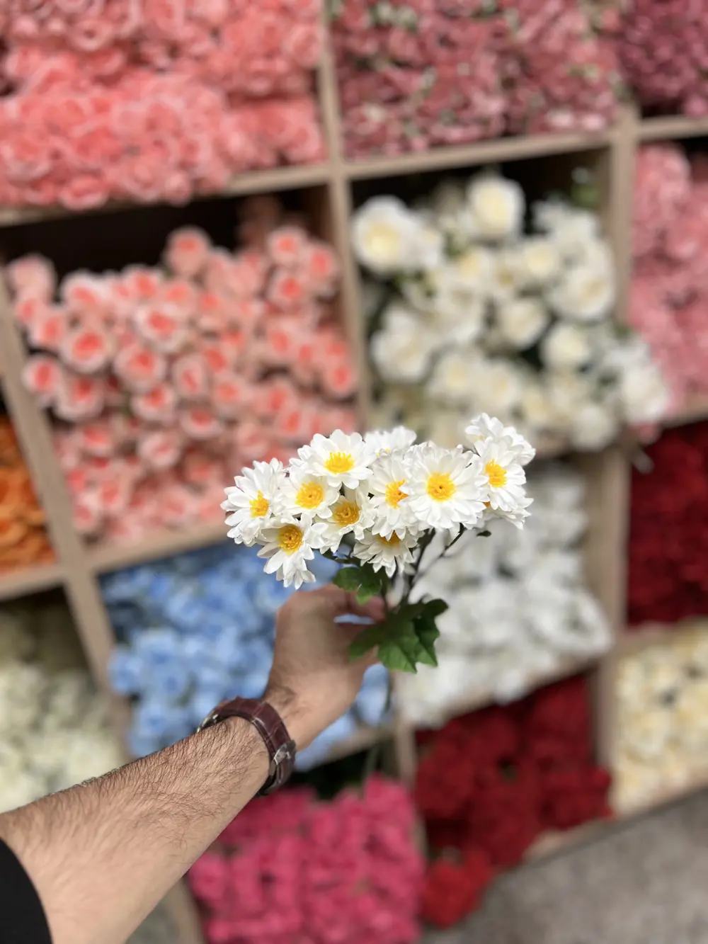 ابيض