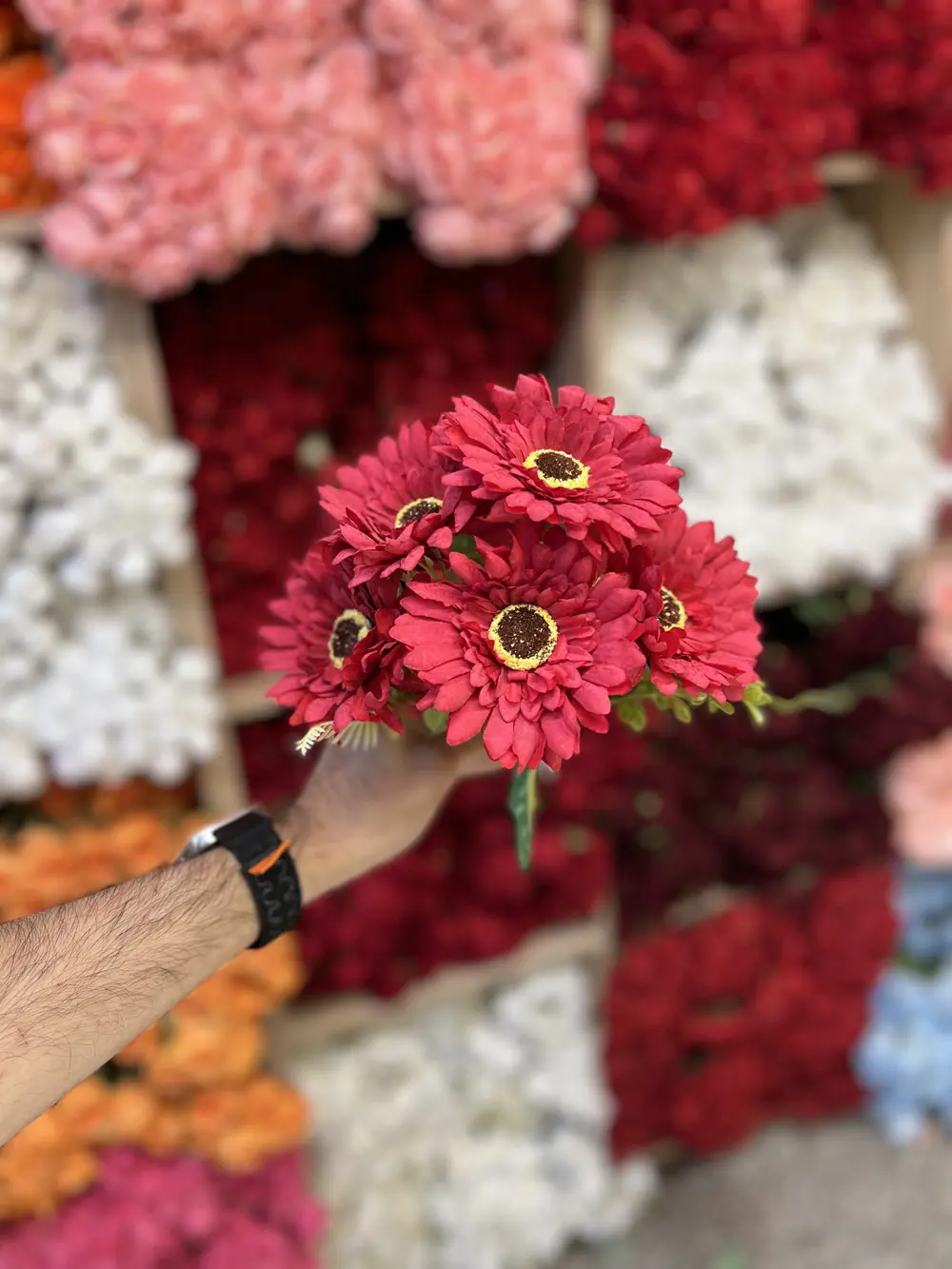 احمر 