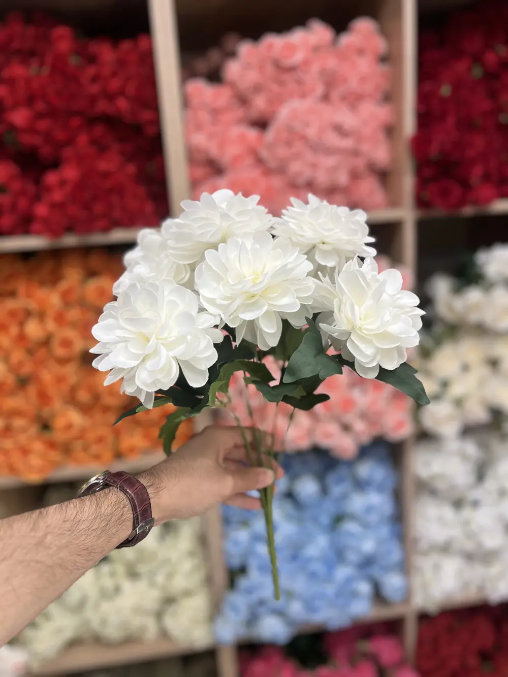 ورد طبقات