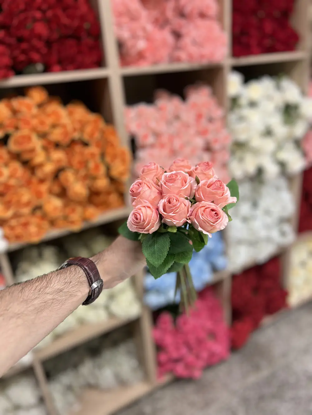 بصلي طوخ