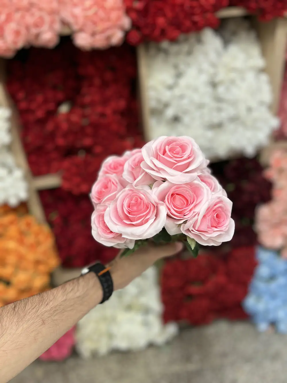 جوري ١١ وردة / وردي